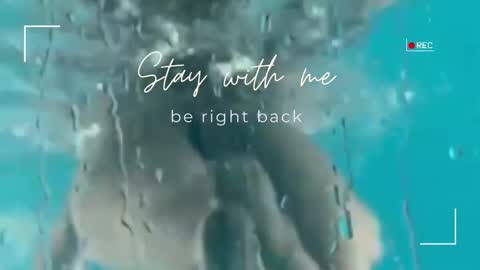 Lily online show from October 12, 9:44 am