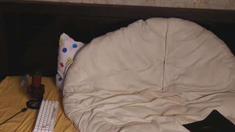 Lissa Ross online show from March 20, 6:46 pm