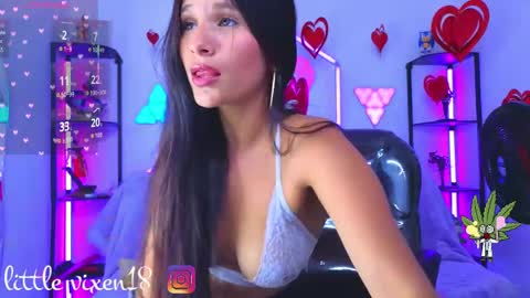 littlevixen18 online show from April 17, 6:37 am