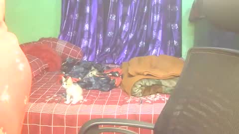 Luna online show from December 20, 9:41 pm