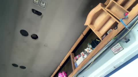 StacyMaeWish online show from March 11, 4:29 pm