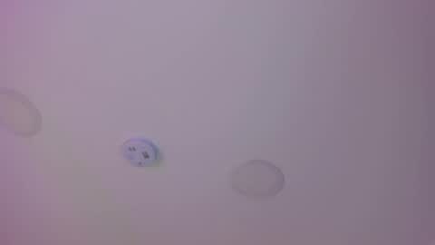 L U I S A online show from February 16, 8:33 pm