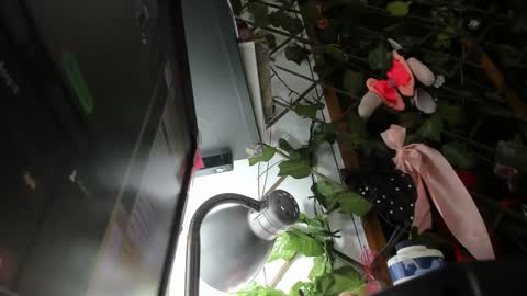 lunacristal_moon online show from March 3, 3:49 am