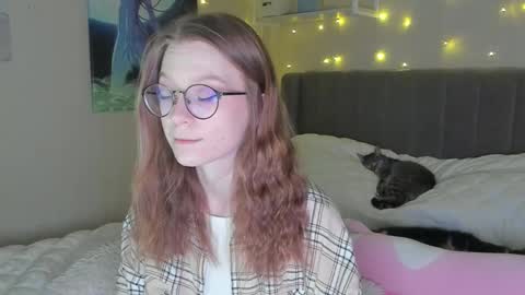 Sofia online show from February 19, 1:17 pm