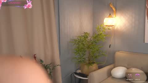 Evi online show from June 1, 9:22 am