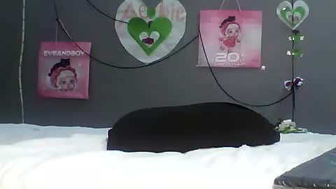 Bee Bee online show from February 20, 3:27 am