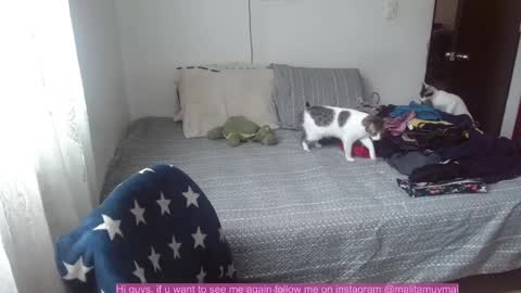 Malita online show from December 21, 3:42 pm