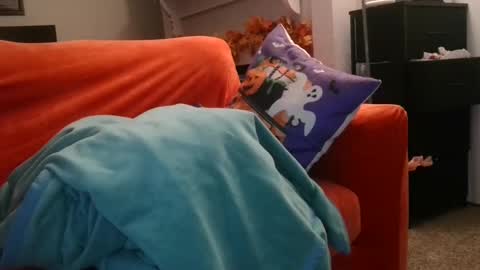 alex online show from October 11, 9:47 am