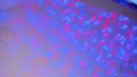 Megan  online show from January 29, 12:43 am