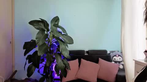 Melissa online show from February 5, 3:15 pm