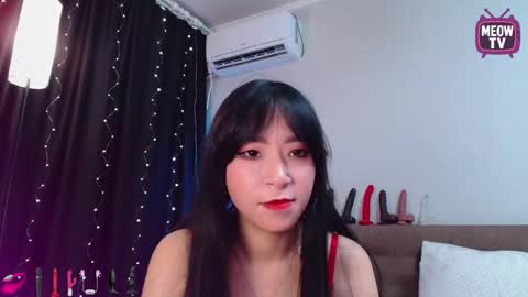 meowkami online show from September 25, 1:04 am