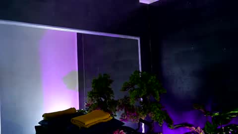 Alice online show from February 13, 8:38 am