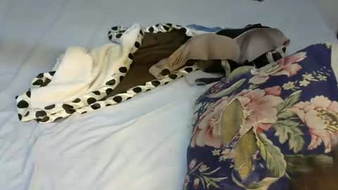 miss440 online show from February 6, 11:19 pm