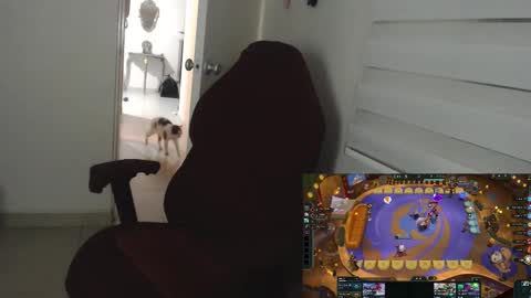 Miss Carmila online show from November 5, 1:44 am