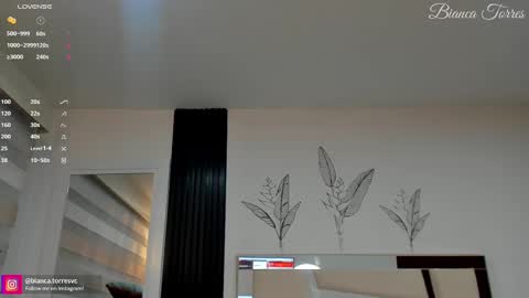 Bianca Torres online show from February 14, 11:20 pm