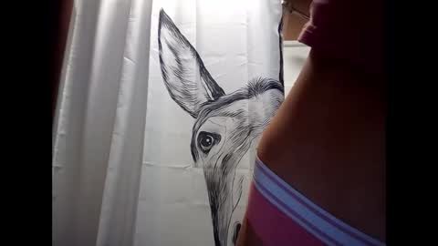 MissEeva online show from December 28, 2:01 am