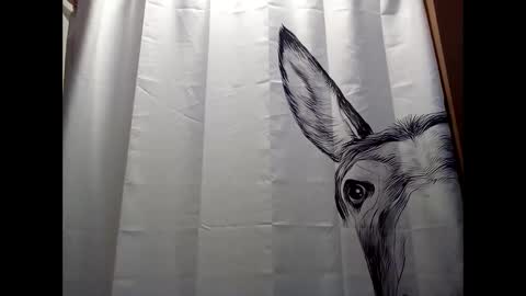 MissEeva online show from January 3, 4:48 pm