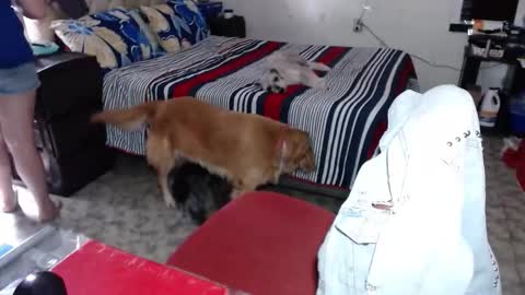 Maria Gomezz online show from March 3, 6:25 pm