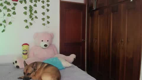  Natalie Texass indepedent model online show from September 16, 8:28 pm