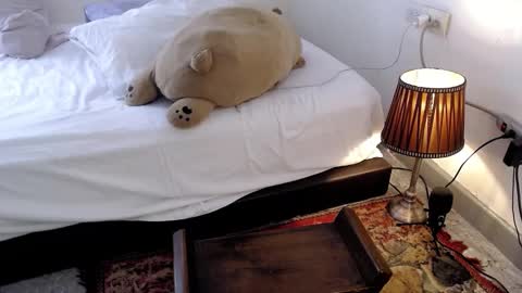   online show from March 3, 5:52 pm