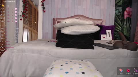 Sofia online show from December 28, 6:49 am