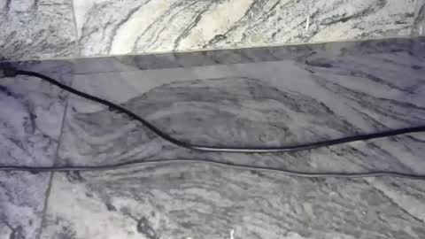 nasty_bitch110 online show from March 20, 11:42 pm