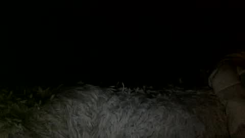 Amber online show from March 1, 11:39 am