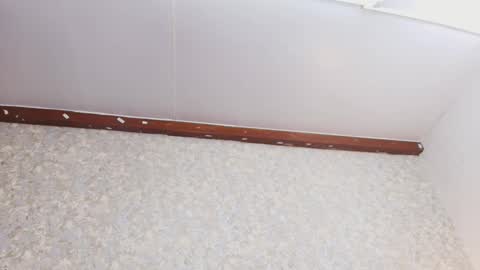 Nicol online show from October 3, 7:41 pm