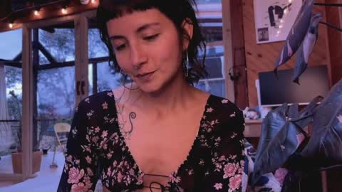 Nina.  online show from April 5, 9:58 pm