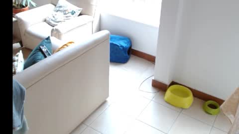 novaperotti online show from September 26, 8:39 pm