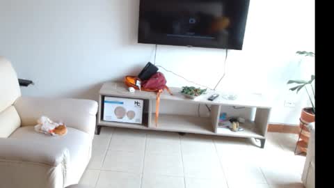 novaperotti online show from March 12, 6:53 pm