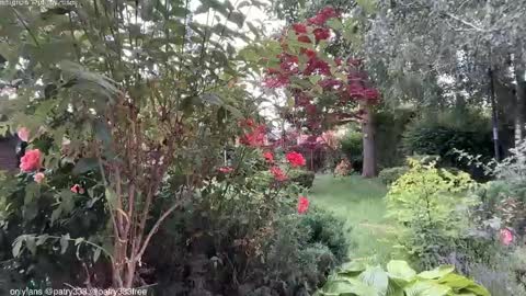 Andreea online show from June 4, 5:56 am