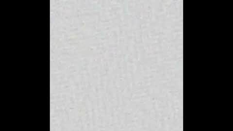 Polly online show from March 12, 12:26 pm