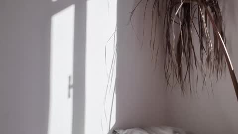 Polina online show from October 17, 6:27 am