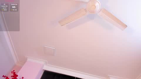 Rachel online show from January 24, 11:37 am