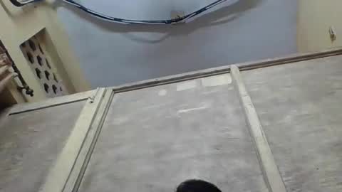 rimshi online show from April 17, 2:08 pm