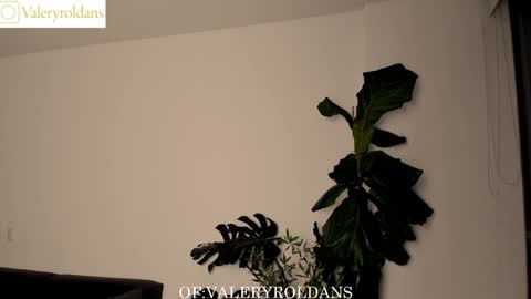 Valery Roldans online show from February 5, 2:51 am