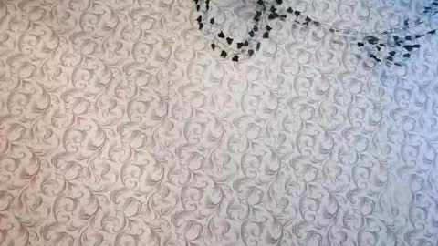 Alya online show from December 14, 9:15 am