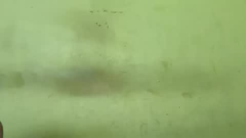 Rupali online show from February 3, 2:53 am