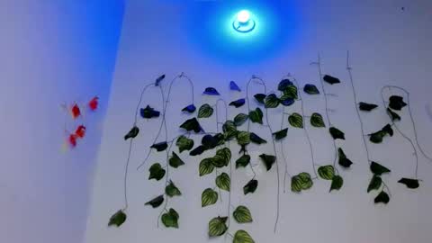 SABRI online show from April 17, 7:16 pm