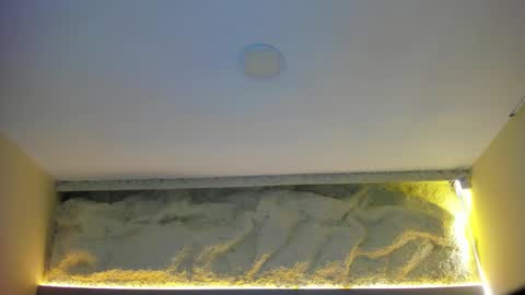  Samanthaa online show from March 1, 11:32 am