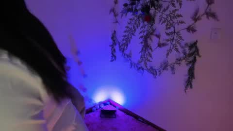   online show from December 31, 8:59 am