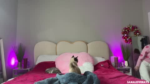 saraloverays online show from March 4, 9:22 pm