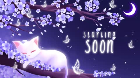 Sassy Sami Kittyn online show from December 16, 6:10 am