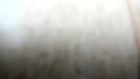 kitty online show from September 24, 1:48 am