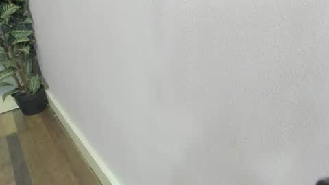 Scarlett 3 online show from February 22, 3:07 am