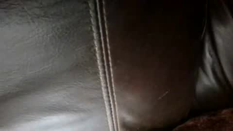 Sunny online show from October 10, 3:44 am