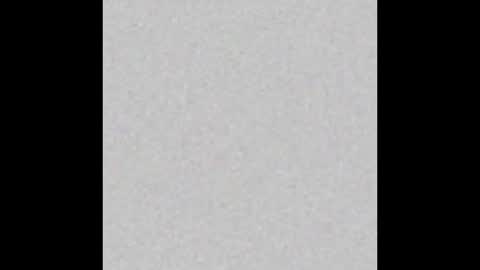 ROSE online show from December 20, 11:00 am