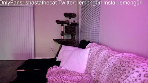 Shasta online show from December 15, 3:56 am