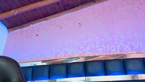 Sofia online show from October 13, 3:09 am